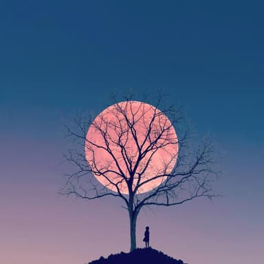 Born a Stranger